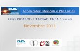 Acceleratori Medicali e PMI Laziali LUIGI PICARDI – UTAPRAD ENEA Frascati Novembre 2011.
