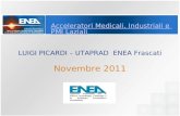 Acceleratori Medicali, Industriali e PMI Laziali LUIGI PICARDI – UTAPRAD ENEA Frascati Novembre 2011.