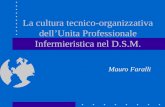 La cultura tecnico-organizzativa dellUnita Professionale Infermieristica nel D.S.M. Mauro Faralli