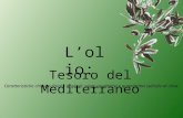 Lolio: Tesoro del Mediterraneo Caratteristiche chimico-fisiche degli oli: saggi qualitativi e quantitativi sullolio di oliva.