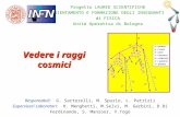 1 Progetto LAUREE SCIENTIFICHE ORIENTAMENTO E FORMAZIONE DEGLI INSEGNANTI di FISICA Unità Operativa di Bologna Vedere i raggi cosmici Responsabili: G.