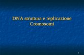 1 DNA struttura e replicazione Cromosomi. 2 Nei primi decenni del 900 si raccolgono evidenze che i cromosomi sono costituiti da DNA e proteine. - Qual.