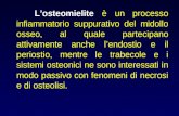 Losteomielite è un processo infiammatorio suppurativo del midollo osseo, al quale partecipano attivamente anche lendostio e il periostio, mentre le trabecole.