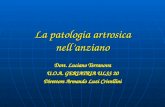 La patologia artrosica nellanziano Dott. Luciano Terranova U.O.A. GERIATRIA ULSS 20 Direttore Armando Luzi Crivellini.