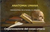 ANATOMIA UMANA Università di Pavia, CdL in Farmacia, A.A. 2008-2009 Organizzazione del corpo umano.