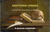 ANATOMIA UMANA Università di Pavia, CdL in Farmacia, A.A. 2008-2009 Il tessuto epiteliale.