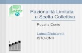 Razionalità Limitata e Scelta Collettiva Rosaria Conte Labss@istc.cnr.it ISTC-CNR.