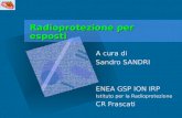 Radioprotezione per esposti A cura di Sandro SANDRI ENEA GSP ION IRP Istituto per la Radioprotezione CR Frascati.