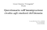 Liceo Classico Cicognini Prato Questionario sullimmigrazione rivolto agli studenti del biennio A cura della classe I D a.s. 2005/06 Ins. Lucia Barnini.