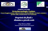 TORINO 21-05-2006 Ortocheratologia Update. Corso di aggiornamento sulla correzione ortocheratologica con lenti a contatto e gestione della comunicazione.