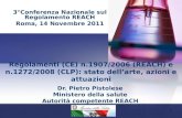 Regolamenti (CE) n.1907/2006 (REACH) e n.1272/2008 (CLP): stato dellarte, azioni e attuazioni Dr. Pietro Pistolese Ministero della salute Autorità competente.