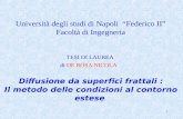 1 Università degli studi di Napoli Federico II Facoltà di Ingegneria TESI DI LAUREA Diffusione da superfici frattali : Il metodo delle condizioni al contorno.