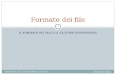 IL FORMATO DEI FILE E IL FILETYPE (ESTENSIONE) Formato dei file 10 marzo 2012 Informatica prof. Giovanni Raho anno 2012 1.