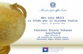 Non solo BRICS La Sfide per il Sistema Italia Napoli, 26 gennaio 2012 Vincenzo Ercole Salazar Sarsfield Capo Ufficio I DG Promozione Sistema Paese Ministero.