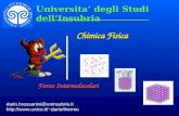 Chimica Fisica dario.bressanini@uninsubria.it dario/thermo Forze Intermolecolari Universita degli Studi dellInsubria.