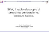 CNR ISTITUTO DI RADIOASTRONOMIA INAF SKA, il radiotelescopio di prossima generazione: contributo Italiano. Stelio Montebugnoli Medicina SKA Engineering.
