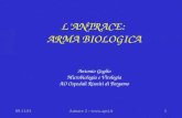 09.11.01Antrace 2 -  LANTRACE: ARMA BIOLOGICA Antonio Goglio Microbiologia e Virologia AO Ospedali Riuniti di Bergamo.