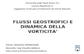 FLUSSI GEOSTROFICI E DINAMICA DELLA VORTICITA Università degli Studi Roma Tre Laurea Magistrale in Ingegneria Civile per la Protezione dai Rischi Naturali.