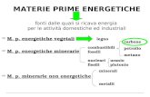 MATERIE PRIME ENERGETICHE fonti dalle quali si ricava energia per le attività domestiche ed industriali M. p. energetiche vegetali legno M. p. energetiche.