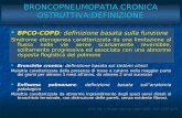 BRONCOPNEUMOPATIA CRONICA OSTRUTTIVA:DEFINIZIONE BPCO-COPD: definizione basata sulla funzione BPCO-COPD: definizione basata sulla funzione Sindrome eterogenea.