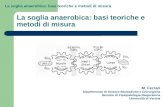 La soglia anaerobica: basi teoriche e metodi di misura M. Ferrari Dipartimento di Scienze Biomediche e Chirurgiche Servizio di Fisiopatologia Respiratoria.