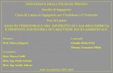 UNIVERSITÀ DEGLI STUDI DI TRENTO Facoltà di Ingegneria Corso di Laurea in Ingegneria per lAmbiente e il Territorio Tesi di Laurea ANALISI TERRITORIALE.