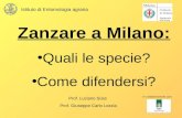 Zanzare a Milano: Quali le specie? Come difendersi? In collaborazione con: Prof. Luciano Süss Prof. Giuseppe Carlo Lozzia Istituto di Entomologia agraria.