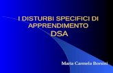 I DISTURBI SPECIFICI DI APPRENDIMENTO DSA Maria Carmela Borsini.