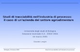 Studi di tracciabilità nellindustria di processoBologna, 16 marzo 2005 Studi di tracciabilità nellindustria di processo: il caso di unazienda del settore.