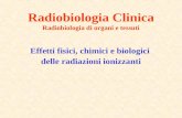 Effetti fisici, chimici e biologici delle radiazioni ionizzanti Radiobiologia Clinica Radiobiologia di organi e tessuti.