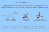 LE PROTEINE Le proteine sono gli agenti indispensabili per lo svolgimento della funzione biologica e i loro costituenti essenziali sono gli amminoacidi.