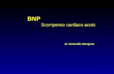 BNP Scompenso cardiaco acuto dr Antonello Mangano.