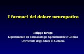 I farmaci del dolore neuropatico Filippo Drago Dipartimento di Farmacologia Sperimentale e Clinica Università degli Studi di Catania.