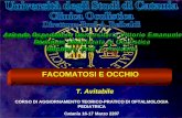 FACOMATOSI E OCCHIO T. Avitabile CORSO DI AGGIORNAMENTO TEORICO-PRATICO DI OFTALMOLOGIA PEDIATRICA Catania 16-17 Marzo 2207.