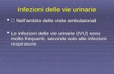 Infezioni delle vie urinarie Nellambito delle visite ambulatoriali Nellambito delle visite ambulatoriali Le infezioni delle vie urinarie (IVU) sono molto.