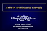 Confronto interistituzionale in Istologia Gruppo di Lavoro: E. Bianchini,, M. Lo Mele, E. Orvieto, Q. Piubello, A. Rizzo Confronto interistituzionale in