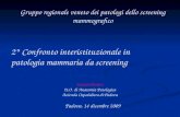 Gruppo regionale veneto dei patologi dello screening mammografico Padova, 14 dicembre 2009 2° Confronto interistituzionale in patologia mammaria da screening