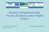 Analisi Computazionale Fluido-Struttura sulla Griglia ENEA Ing. Fiorenzo Ambrosino Portici 11/12/2007 Progetto CRESCO.