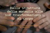 Dalla struttura della materia alle sue trasformazioni … al corpo Percorsi didattici nella Scuola Primaria R. Santarelli.