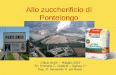 Allo zuccherificio di Pontelongo Classi terze – Maggio 2010 Sc. Primaria C. Goldoni – Spinea 1° Inss. R. Santarelli, S. dei Rossi.