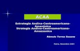 Estrategia Andina-Centroamericana-Amazónica ACAA Rómulo Torres Seoane Roma, Novembre 2004 Strategia Andina-Centroamericana-Amazzonica.