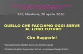 Disturbi Specifici di Apprendimento: successo scolastico e strategie didattiche AID, Mantova, 26 aprile 2010 QUELLO CHE FACCIAMO OGGI SERVE AL LORO FUTURO.