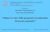 Misure in vitro delle proprietà viscoelastiche di tessuti connettivi UNIVERSITA DEGLI STUDI DI ROMA LA SAPIENZA Facoltà di Ingegneria Laurea Specialistica.