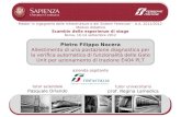 Master in Ingegneria delle Infrastrutture e dei Sistemi Ferroviari – A.A. 2011/2012 Modulo didattico Scambio delle esperienze di stage Roma, 10-14 settembre.