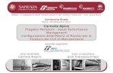 Master in Ingegneria delle Infrastrutture e dei Sistemi Ferroviari – A.A. 2011/2012 Cerimonia finale Roma, 28 settembre 2012 Carmela Apice Progetto Meridium.