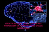 La memoria, nel senso fisiologico del termine, indica quella funzione cerebrale implicata nellassimilazione, nella ritenzione e nel richiamo di informazioni.