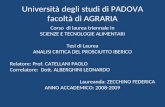 Università degli studi di PADOVA facoltà di AGRARIA Corso di laurea triennale in SCIENZE E TECNOLOGIE ALIMENTARI Tesi di Laurea ANALISI CRITICA DEL PROSCIUTTO.