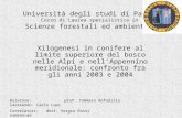 Università degli studi di Padova Corso di Laurea specialistica in Scienze forestali ed ambientali Xilogenesi in conifere al limite superiore del bosco.