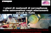 I piani di nazionali di sorveglianza sulle salmonellosi negli allevamenti avicoli in Italia ISTITUTO ZOOPROFILATTICO SPERIMENTALE DELLE VENEZIE Centro.