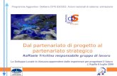 Raffaele Trivilino responsabile gruppo di lavoro Dal partenariato di progetto al partenariato strategico Programma Aggiuntivo- Delibera CIPE 83/2002- Azioni.
